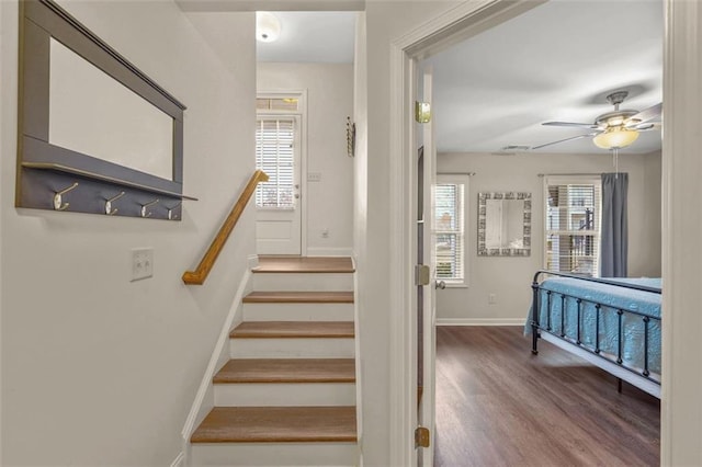 stairs featuring hardwood / wood-style flooring and ceiling fan