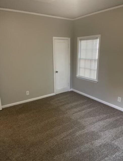 carpeted empty room featuring ornamental molding