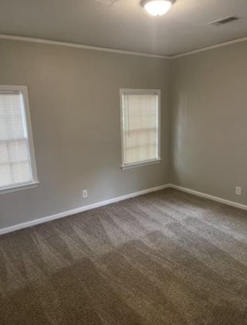 spare room featuring ornamental molding and carpet flooring