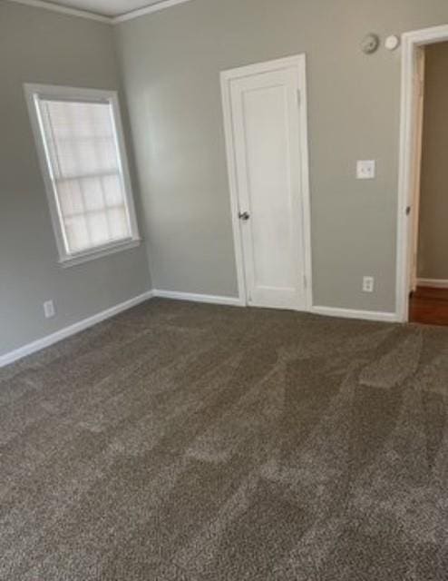 carpeted spare room featuring crown molding