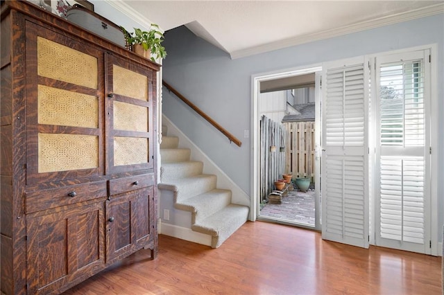 foyer featuring wood-type flooring and ornamental molding