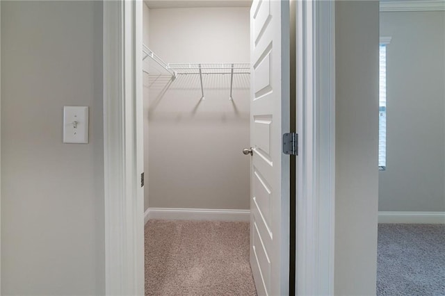 spacious closet featuring light carpet