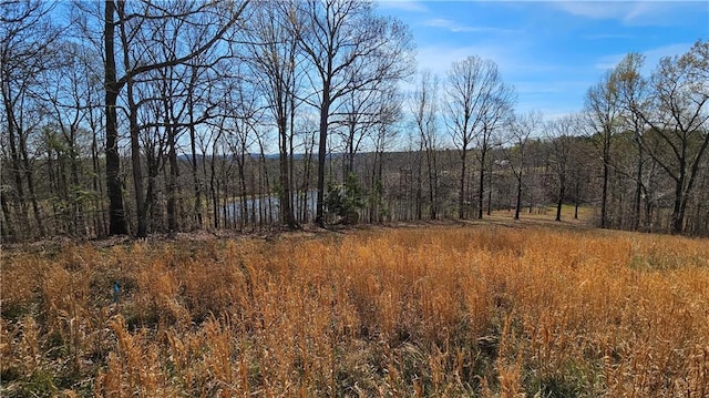 LOT2 Snote Jones Rd, Dallas, GA 30132