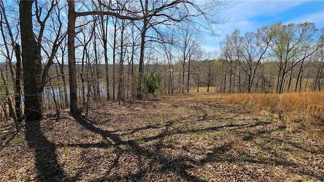 LOT2 Snote Jones Rd, Dallas, GA 30132