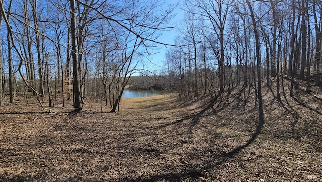 LOT2 Snote Jones Rd, Dallas, GA 30132