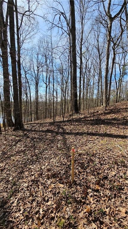 LOT2 Snote Jones Rd, Dallas, GA 30132