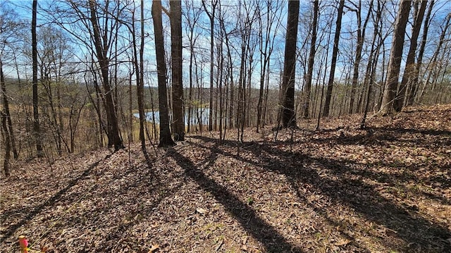 LOT2 Snote Jones Rd, Dallas, GA 30132