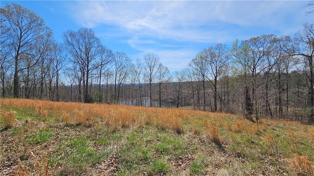 LOT2 Snote Jones Rd, Dallas, GA 30132