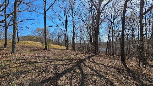 LOT2 Snote Jones Rd, Dallas, GA 30132