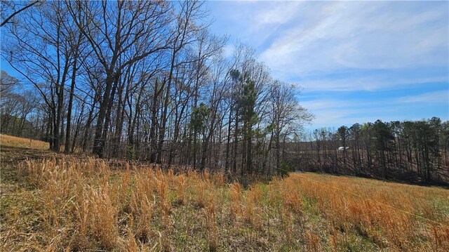 LOT2 Snote Jones Rd, Dallas, GA 30132