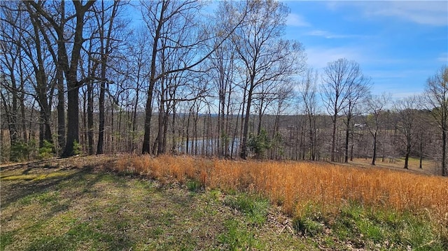 LOT2 Snote Jones Rd, Dallas, GA 30132
