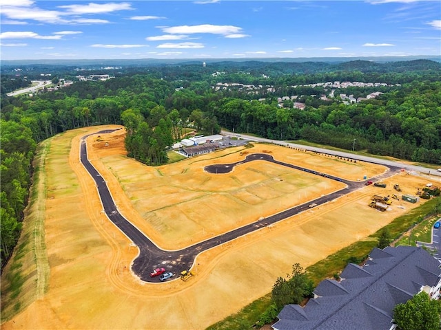 104 Alpine Ct, Dallas, GA 30132 - bird's eye view of a heavily wooded area