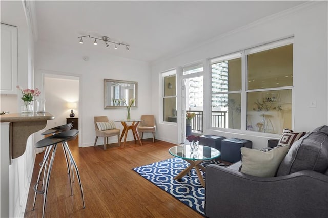 living room featuring ornamental molding and light hardwood / wood-style flooring