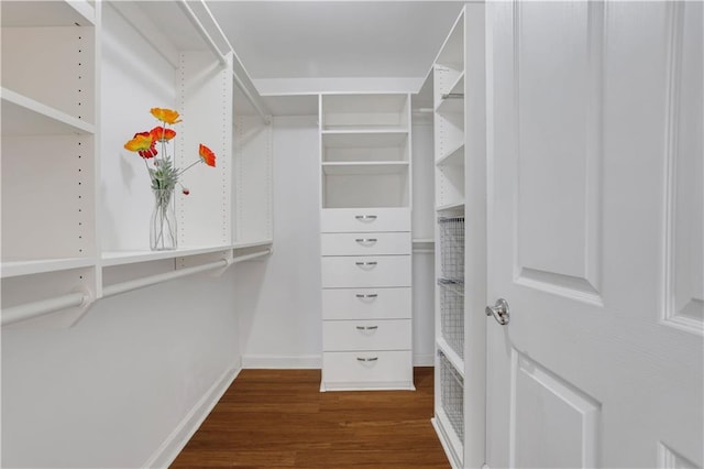 walk in closet featuring dark hardwood / wood-style floors