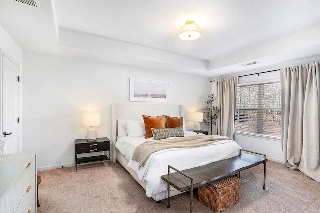 carpeted bedroom with a tray ceiling