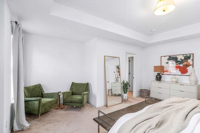 carpeted bedroom featuring a tray ceiling