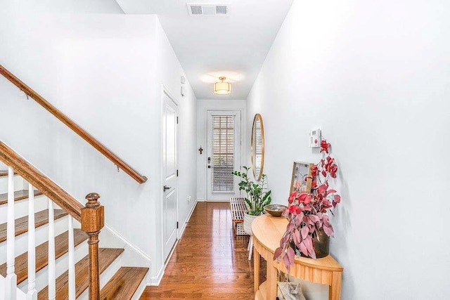 entryway featuring dark wood-type flooring