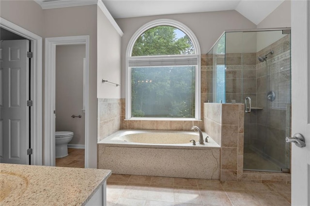 3642 Fowler Rdg, Douglasville, GA 30135 - full bathroom with a garden tub, a stall shower, vanity, toilet, and vaulted ceiling