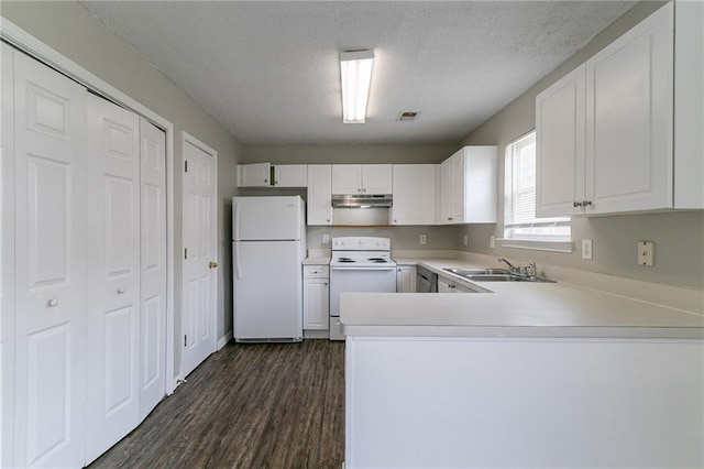 256 Turnstone Rd, Stockbridge, GA 30281 - kitchen featuring white appliances, under cabinet range hood, a sink, light countertops, and dark wood finished floors
