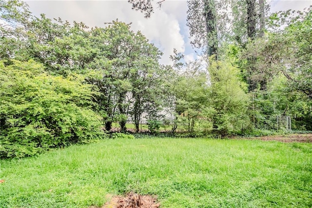 2110 Redbud Ct SW, Marietta, GA 30008 - view of yard