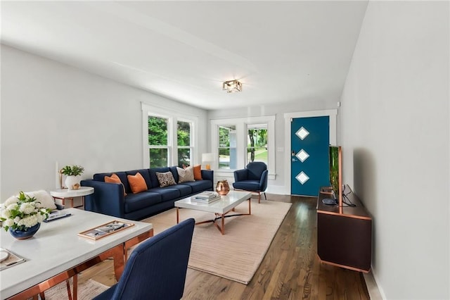living area featuring wood finished floors