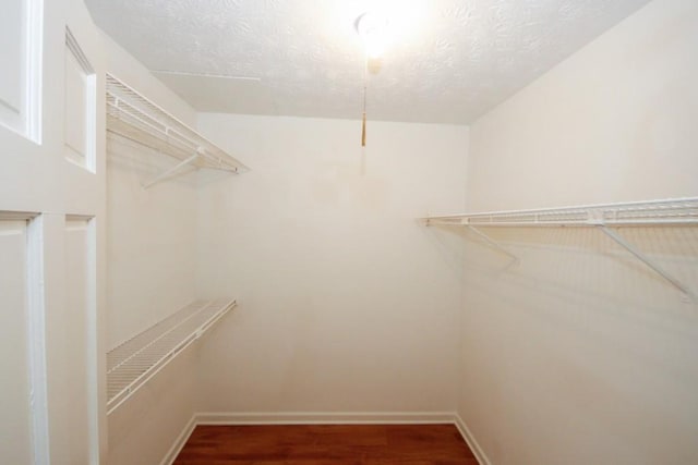 walk in closet with hardwood / wood-style floors