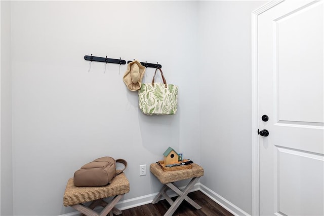 mudroom featuring dark wood-type flooring