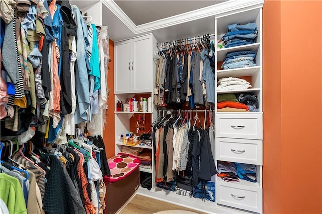 view of spacious closet