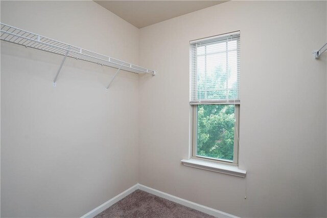126 Seabreeze Way, Newnan, GA 30265