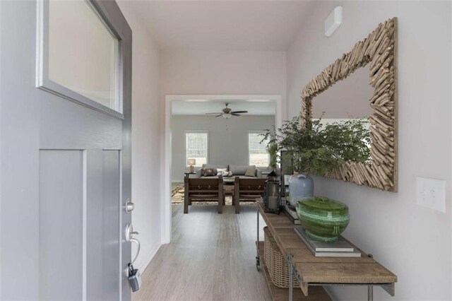 foyer with hardwood / wood-style flooring and ceiling fan