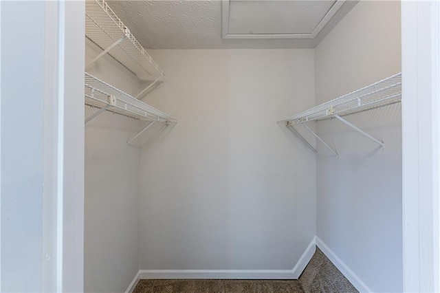 walk in closet with carpet flooring