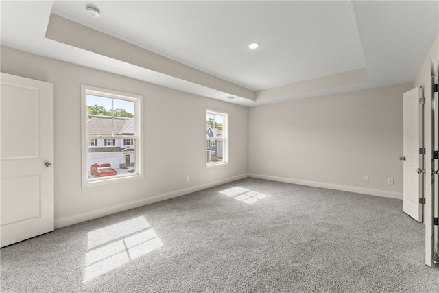 392 Brookstone Trl, Dawsonville, GA 30534 - spare room featuring plenty of natural light, a raised ceiling, and baseboards