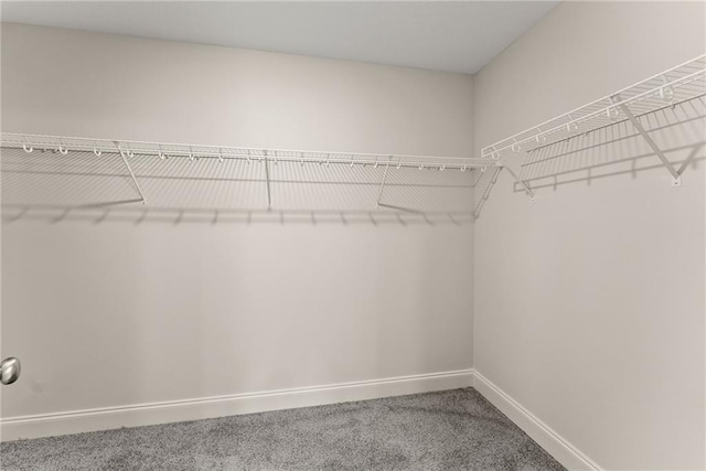 392 Brookstone Trl, Dawsonville, GA 30534 - walk in closet with carpet flooring