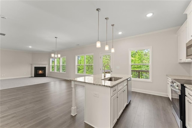 392 Brookstone Trl, Dawsonville, GA 30534 - kitchen with ornamental molding, a glass covered fireplace, baseboards, a sink, and stainless steel appliances