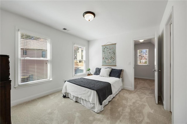 224 Celestial Ridge Dr, Dallas, GA 30132 - bedroom featuring light carpet and multiple windows
