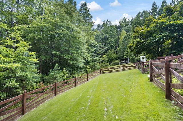 224 Celestial Ridge Dr, Dallas, GA 30132 - view of yard with a wooded view