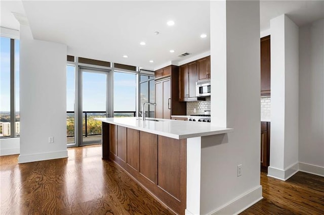 kitchen featuring floor to ceiling windows, sink, stainless steel appliances, tasteful backsplash, and dark hardwood / wood-style flooring