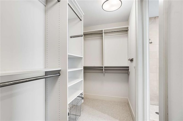 walk in closet with light colored carpet