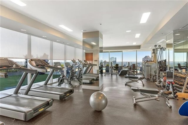 exercise room featuring a wall of windows