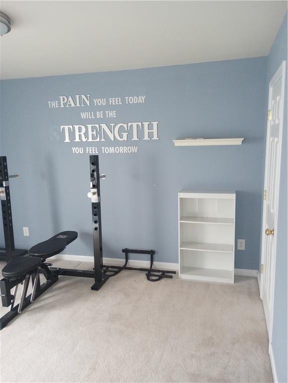 102 Ozark Trl, Canton, GA 30114 - workout room featuring carpet and baseboards