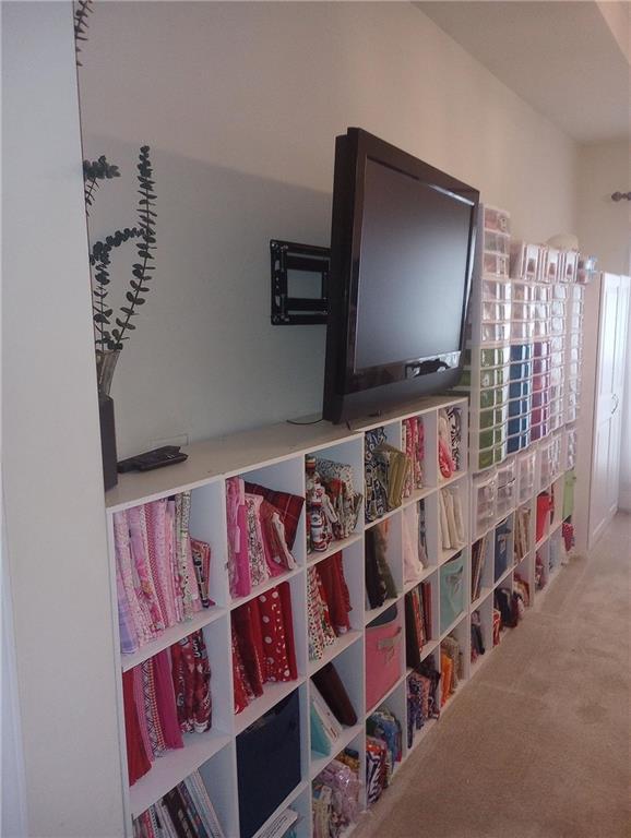 102 Ozark Trl, Canton, GA 30114 - room details featuring carpet