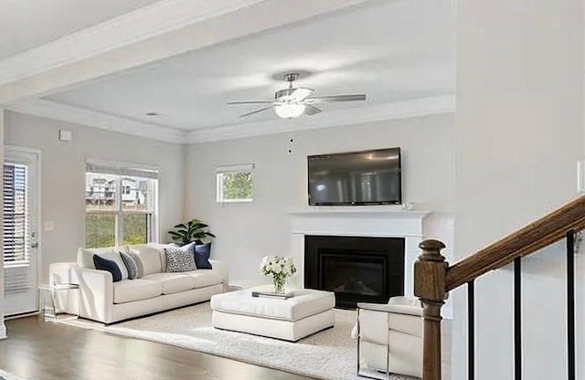 5103 Woodline View Ln, Auburn, GA 30011 - living room with wood finished floors, ceiling fan, crown molding, and a glass covered fireplace