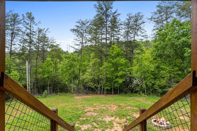 35 Indian Trce, Mineral Bluff, GA 30559 - view of green lawn with a forest view