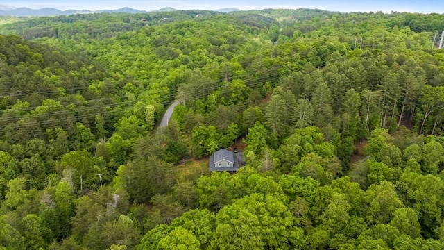 35 Indian Trce, Mineral Bluff, GA 30559 - aerial view of a forest and mountains