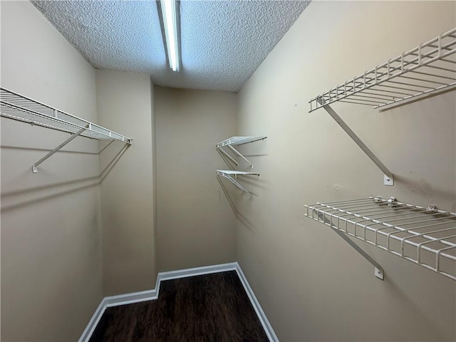 spacious closet with wood finished floors