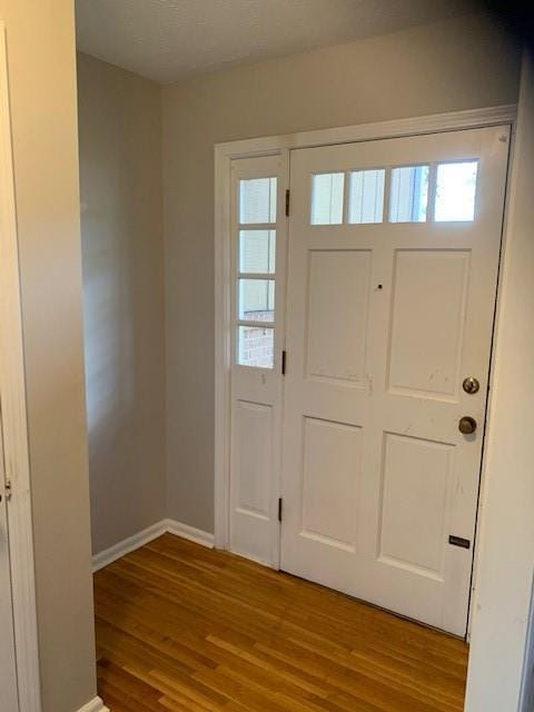 foyer entrance featuring wood-type flooring and a wealth of natural light