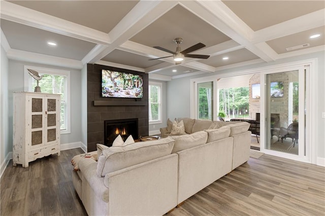 living room featuring a large fireplace, coffered ceiling, wood finished floors, plenty of natural light, and baseboards