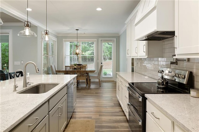 kitchen with stainless steel appliances, custom exhaust hood, a sink, ornamental molding, and wood finished floors