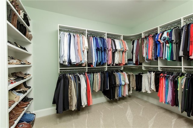 walk in closet featuring carpet flooring