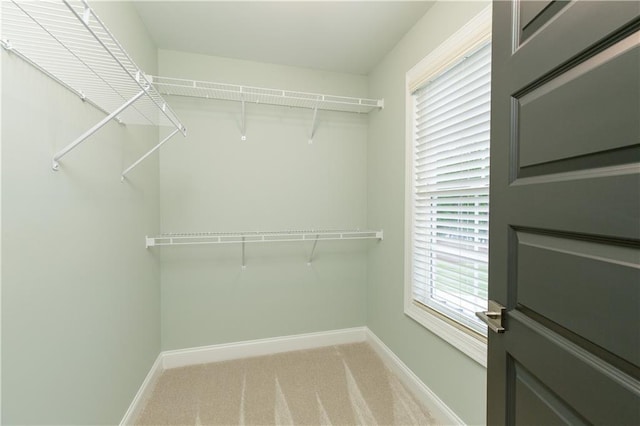 spacious closet with light carpet
